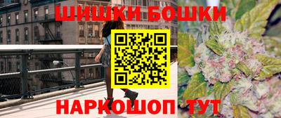мдпв Бийск