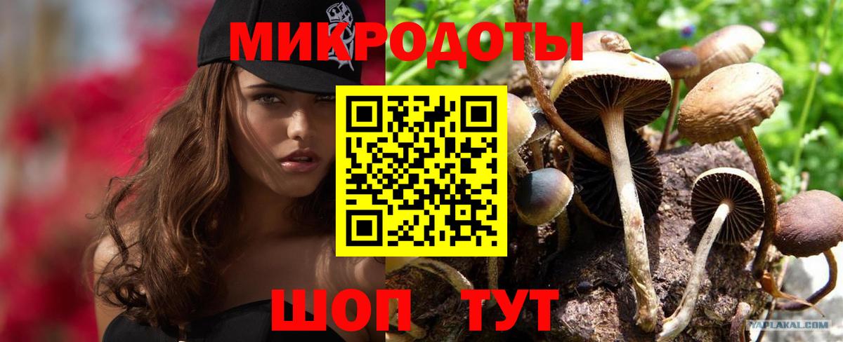 Псилоцибиновые грибы ЛСД Боровичи