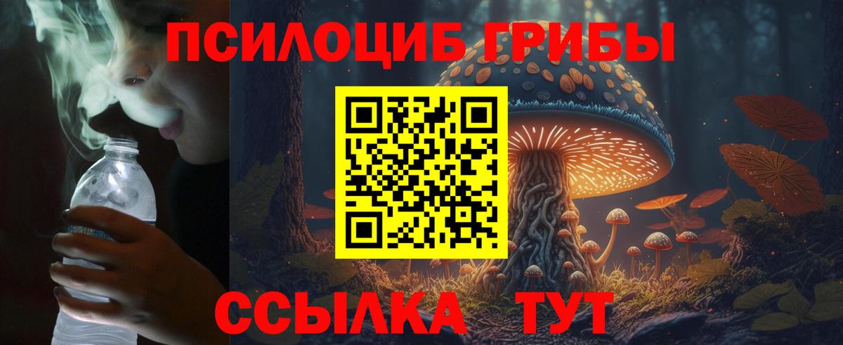 Псилоцибиновые грибы GOLDEN TEACHER  Вход с VPN  Боровичи 